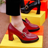Jnyhbzz Table High Heels Pointed Women's Shoes Spring 2024 New Platform Thick Heel Fashion Shoes Deep Mouth Women's Shoes